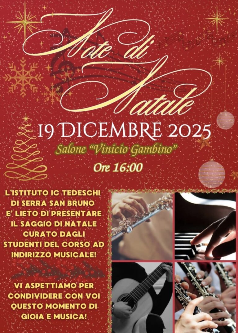 Saggio di Natale orchestra scuola secondaria Larussa.